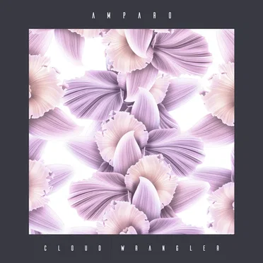 Amparo