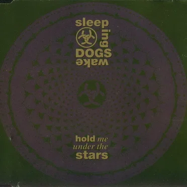 Sleeping Dogs Wake