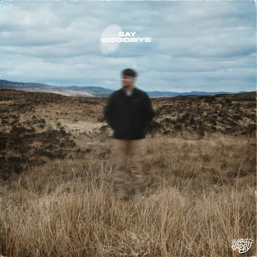 Say Goodbye by sadHAPPY - album cover