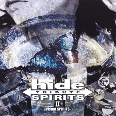 hide TRIBUTE Ⅱ -Visual SPIRITS- by Various Artists - album cover