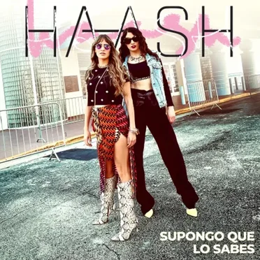 Supongo que lo sabes