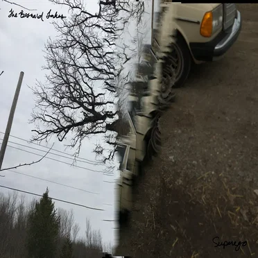 Superego by The Besnard Lakes - album cover