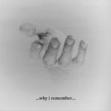 Why I Remember by Various Artists - album cover