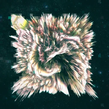 Observing Creative Destruction