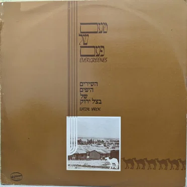 השירים היפים של בצל ירוק