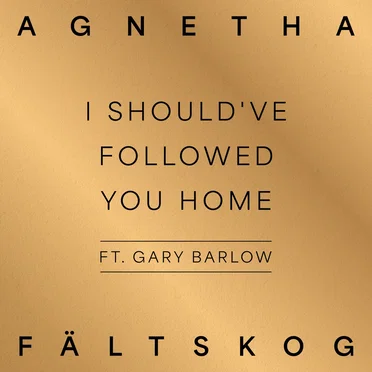 I Should've Followed You Home