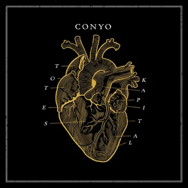 Totes Kapital by Conyo - album cover
