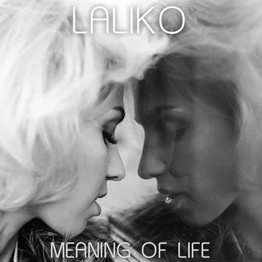 Meaning of Life