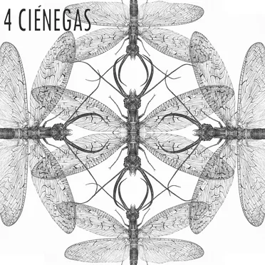 Cuatro Ciénegas by 4 Cienegas - album cover