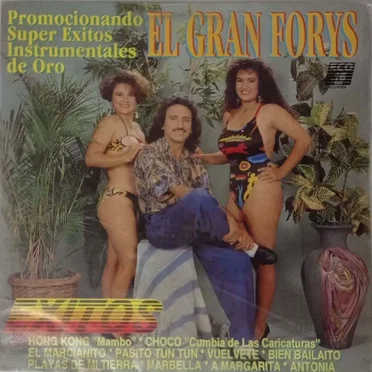 El gran forys by Various Artists - album cover