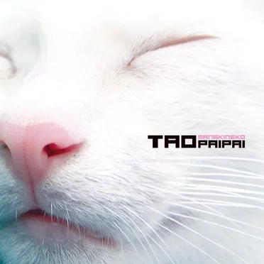Maneki Neko by TAO - album cover