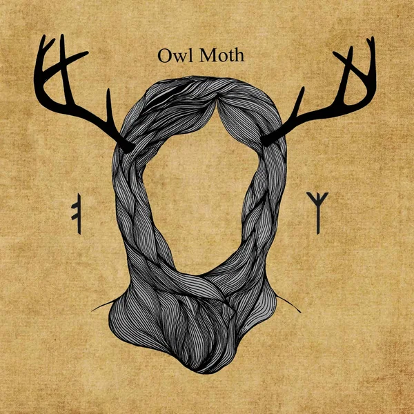 Owl Moth