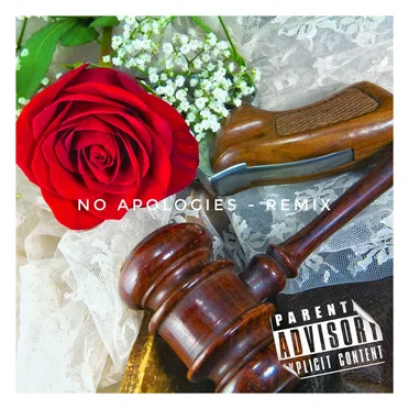 No Apologies (remix) by Seth Bowman - album cover