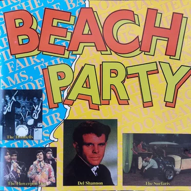 Beach Party by Various Artists - album cover