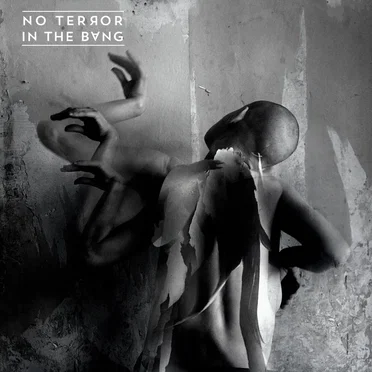 Poison by No Terror in the Bang - album cover