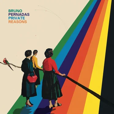 Private Reasons by Bruno Pernadas - album cover