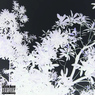 Sativa