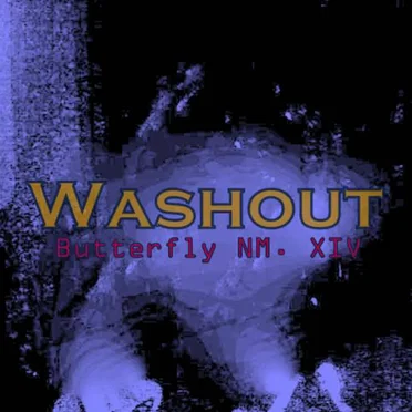 Washout