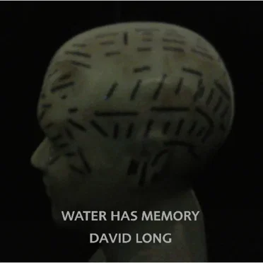 Water Has Memory by David Long - album cover