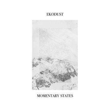 Momentary States