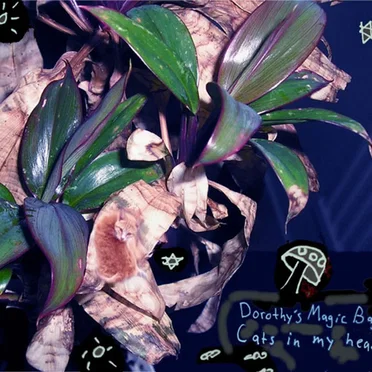 Cats in My Head EP