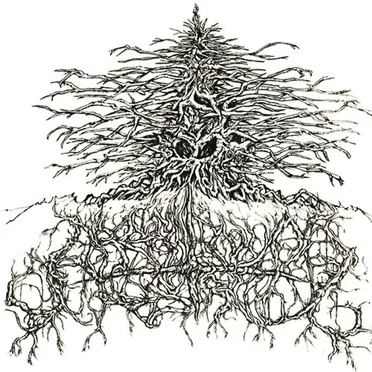 Untitled II (White)