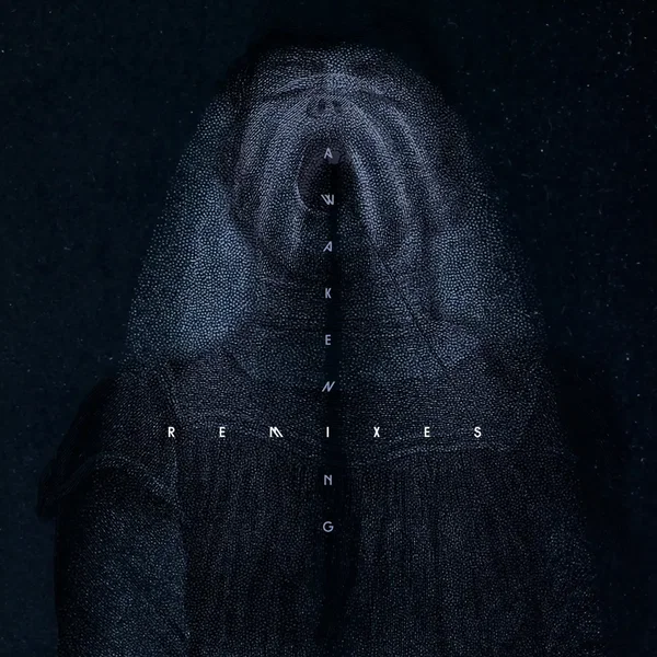 Awakening Remixes