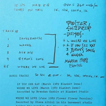 Daisy Chain Reaction 25th Anniversary Reissue Bonus Tracks by Poster Children - album cover
