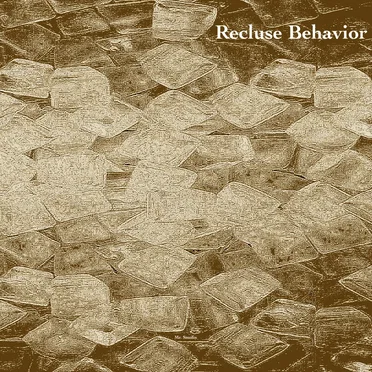Recluse Behavior