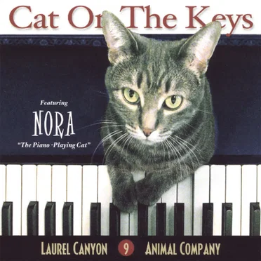 Cat on the Keys by Laurel Canyon Animal Company - album cover