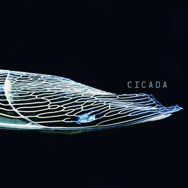 Cicada by waterweed - album cover