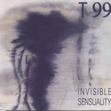 Invisible Sensuality