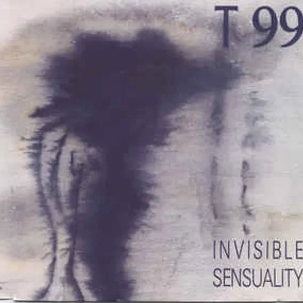 Invisible Sensuality