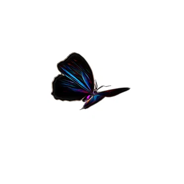 🦋