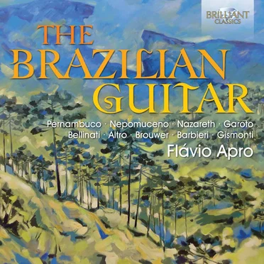 The Brazilian Guitar