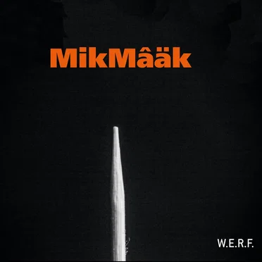 MikMâäk by MikMâäk - album cover