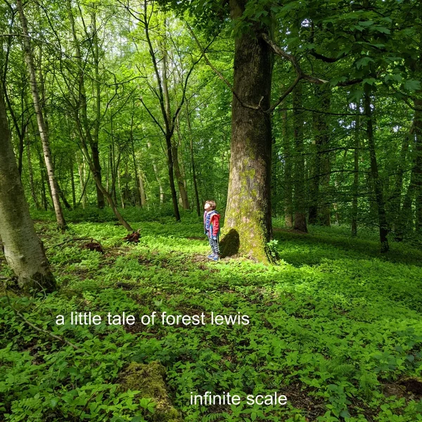 A Little Tale of Forest Lewis