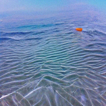 no plastic sea by NOISE ARTIFACT - album cover