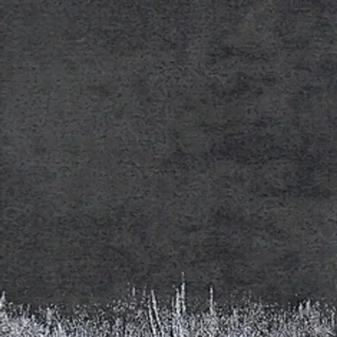 To the French Fields of Inspiration by Saatkrähe - album cover