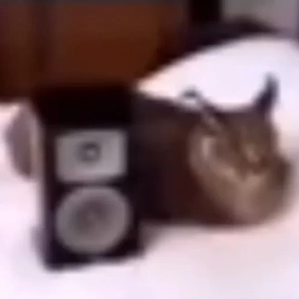 音量を上げろ！
