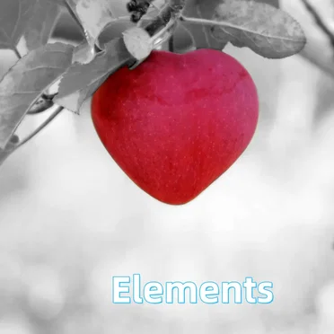 Elements