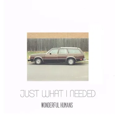 Just What I Needed by Wonderful Humans - album cover