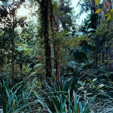 Latency alla Villa Medici III