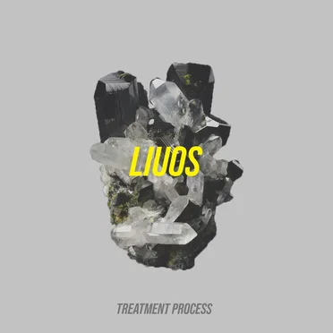 Treatment Process by Liuos - album cover