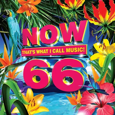 Now That’s What I Call Music! 66 by Various Artists - album cover