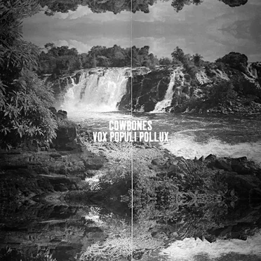 Vox Populi Pollux by Cowbones - album cover