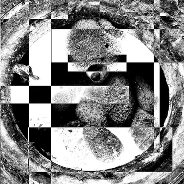 Rhythm Is a Cancer (Snowbeasts remix)