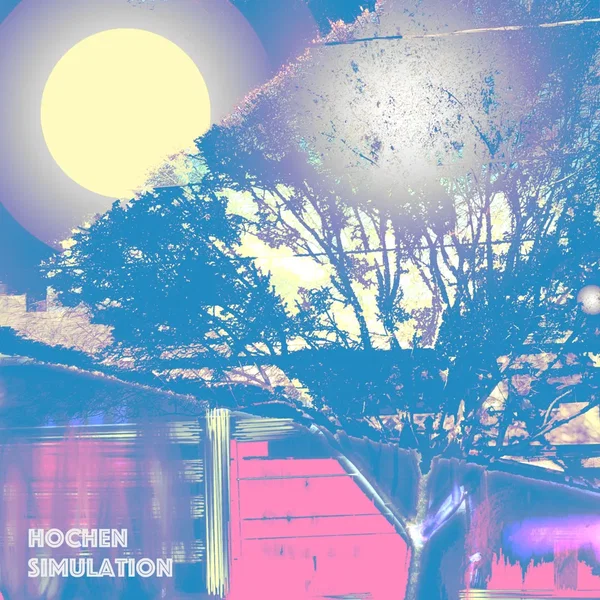 Simulation