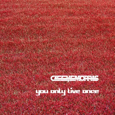 You Only Live Once