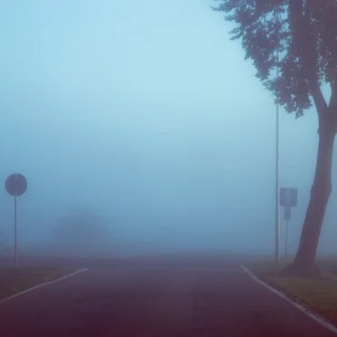 Fog